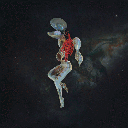 Hail Spirit Noir : Fossil Gardens